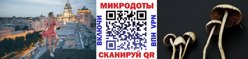 Галлюциногенные грибы Magic Shrooms  Шимановск 